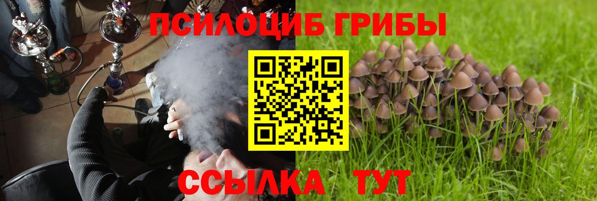 Галлюциногенные грибы Magic Shrooms  Вход с VPN  Кропоткин  Галлюциногенные грибы MAGIC MUSHROOMS 