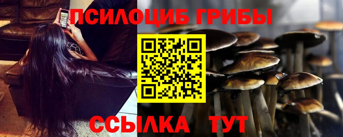 Псилоцибиновые грибы прущие грибы Кропоткин